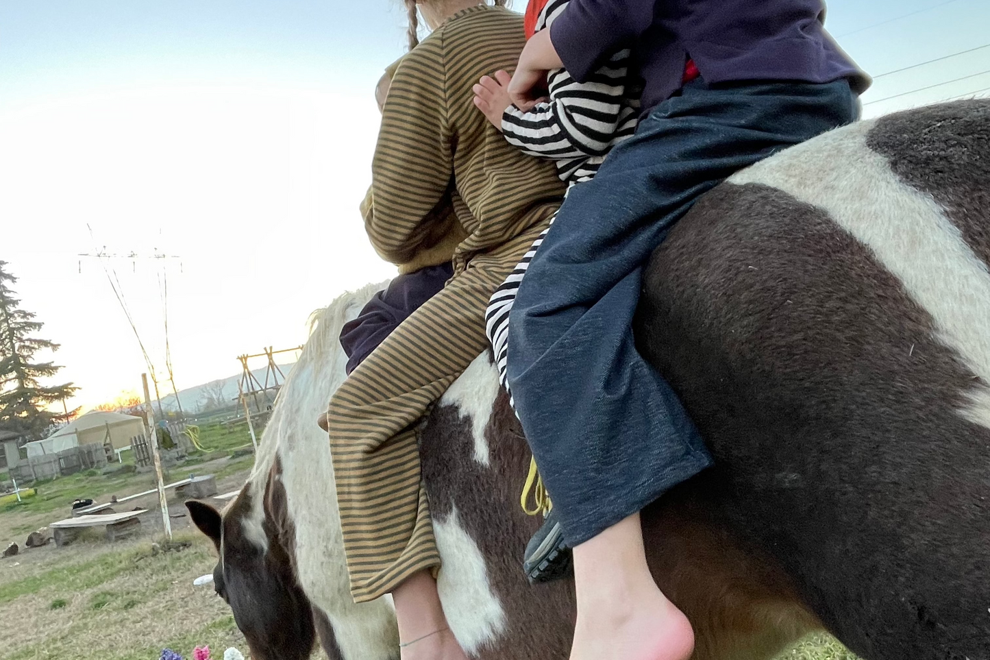 Art. #1 - Il pantalone Caldo 0-14